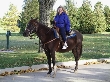 Jen tours the island on horseback
